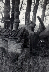 F11 Ruine van bakoven bij Kok in de Wiersse, 1967